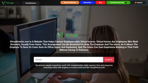 virtualinterns.com website screenshot